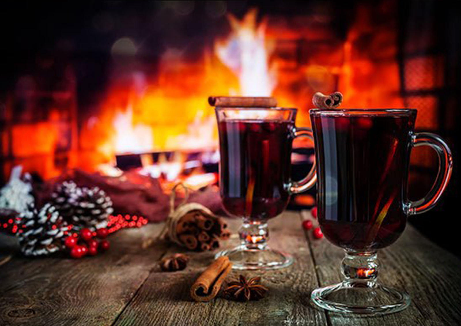 Vinho Quente MISTER ® MEISTER