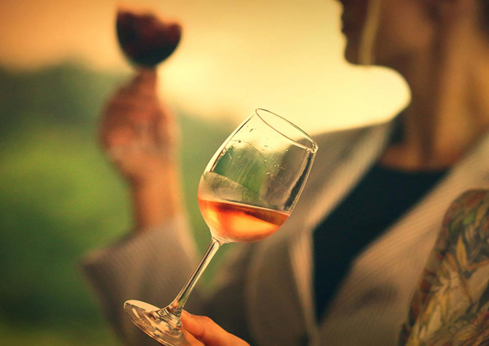 Vinho Laranja MISTER ® MEISTER