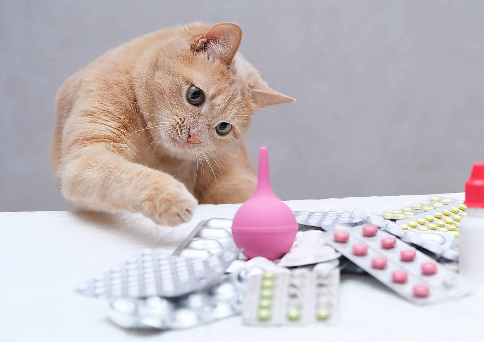 Ergänzungen und Vitamine MISTER ® MEISTER