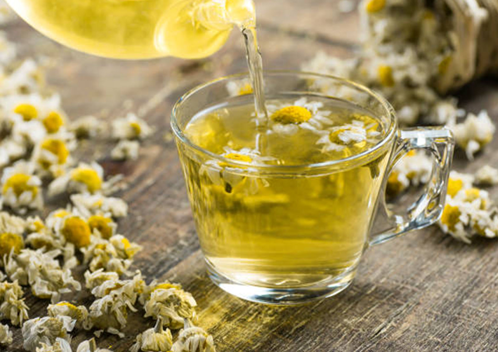 Infusions de Plantes MISTER ® MEISTER