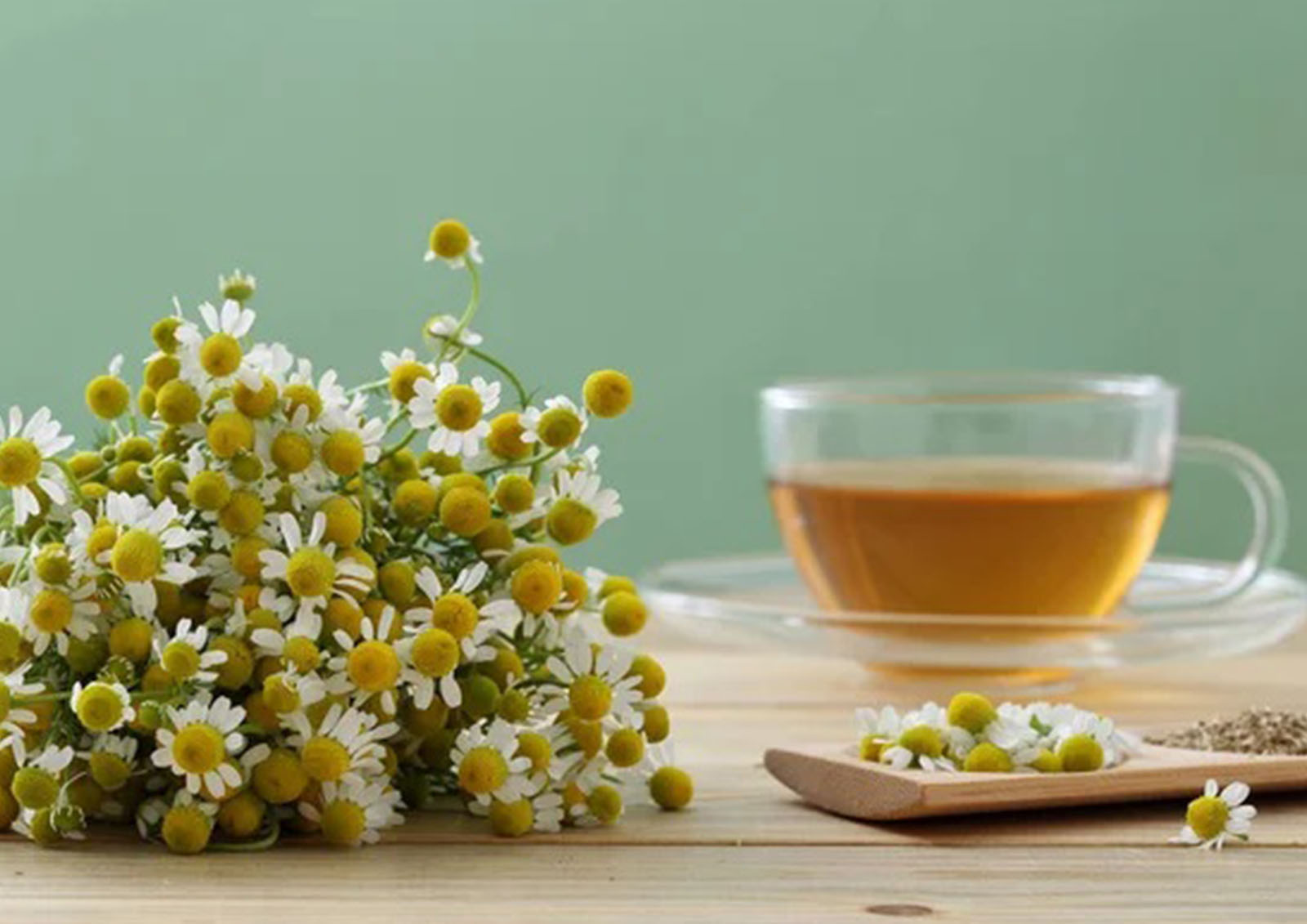 Herbal Infusions MISTER ® MEISTER