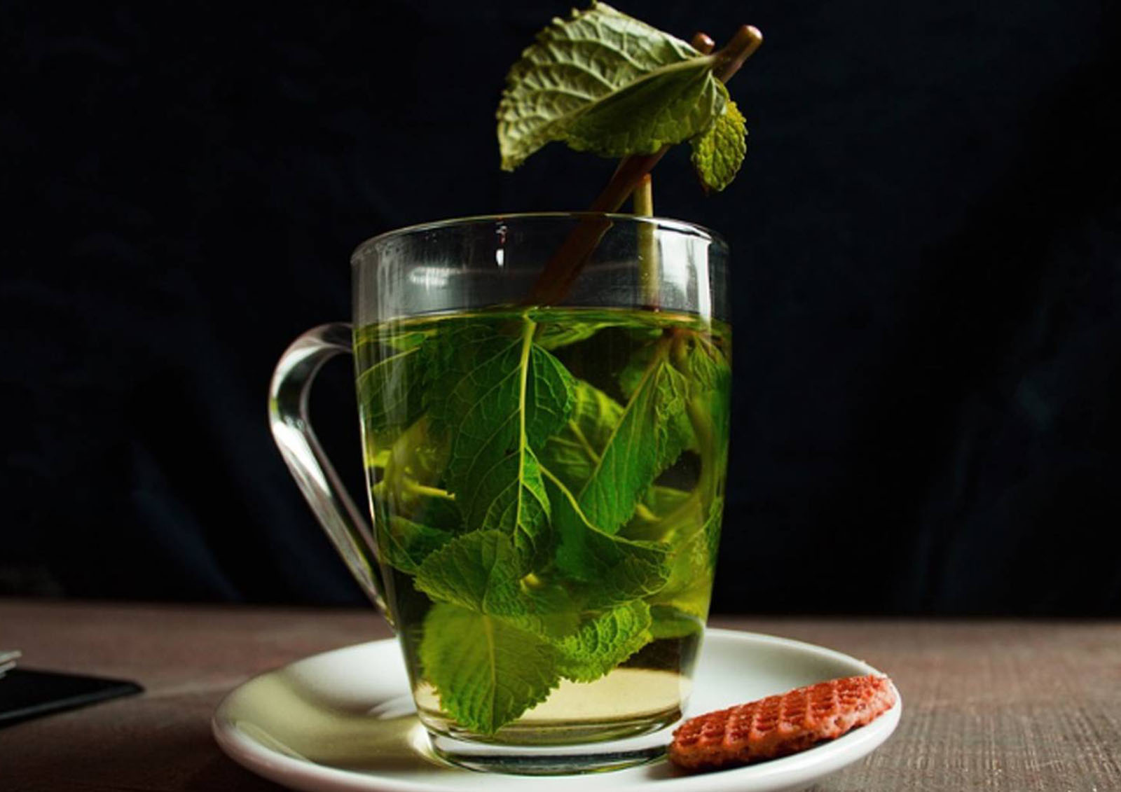 Infusões de Ervas MISTER ® MEISTER