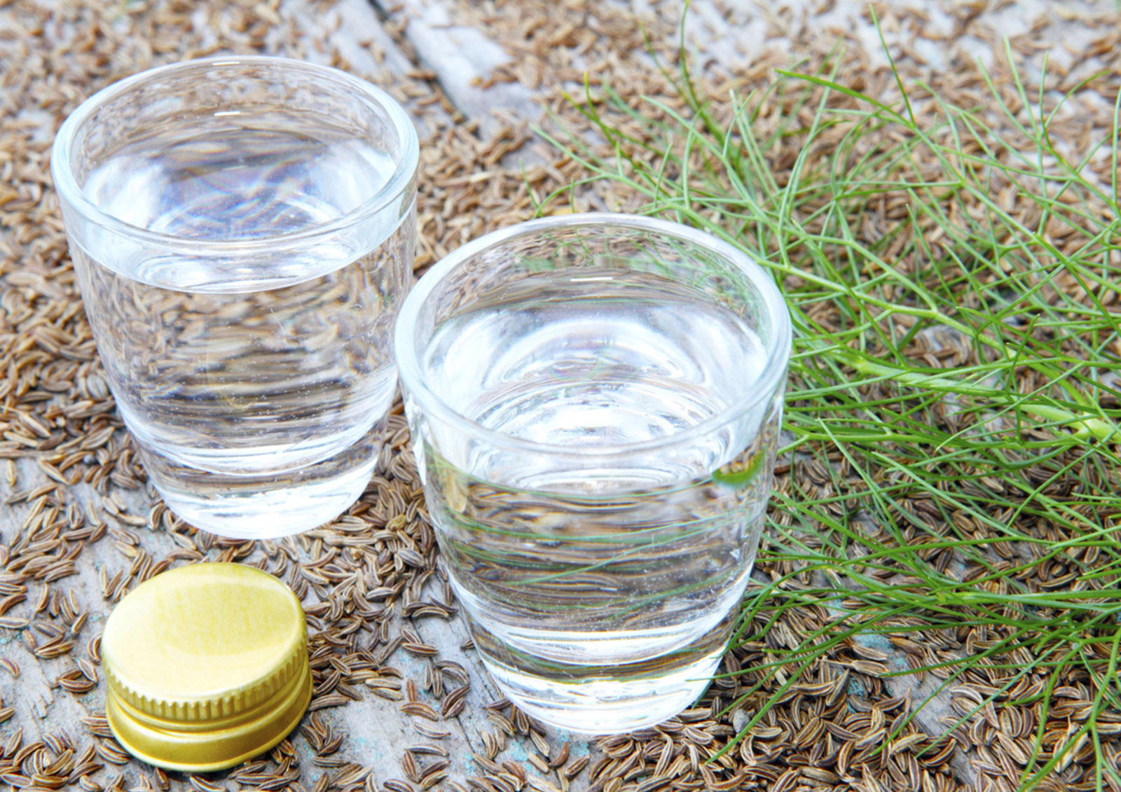Aquavit MISTER ® MEISTER