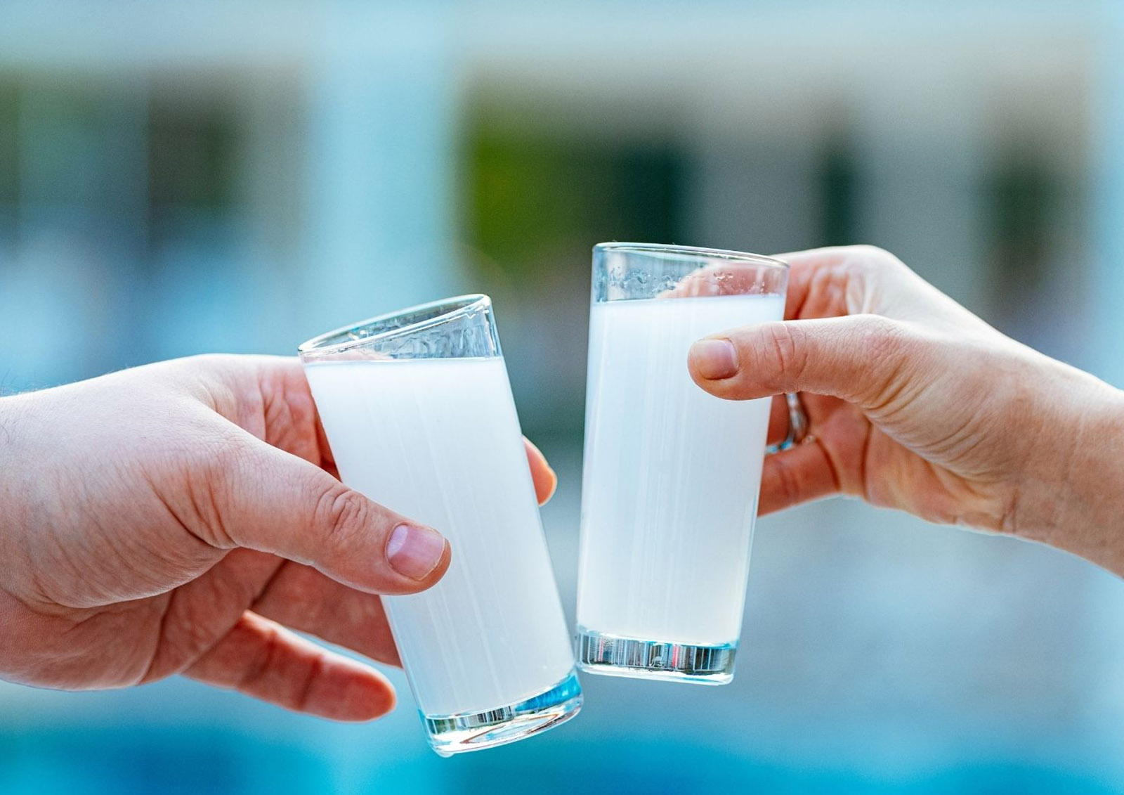 Raki MISTER ® MEISTER