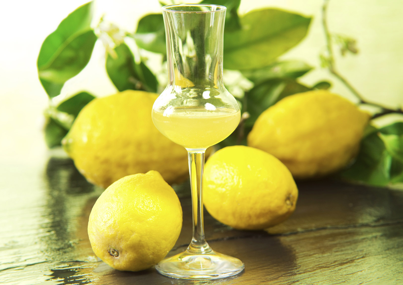 Limoncello MISTER ® MEISTER