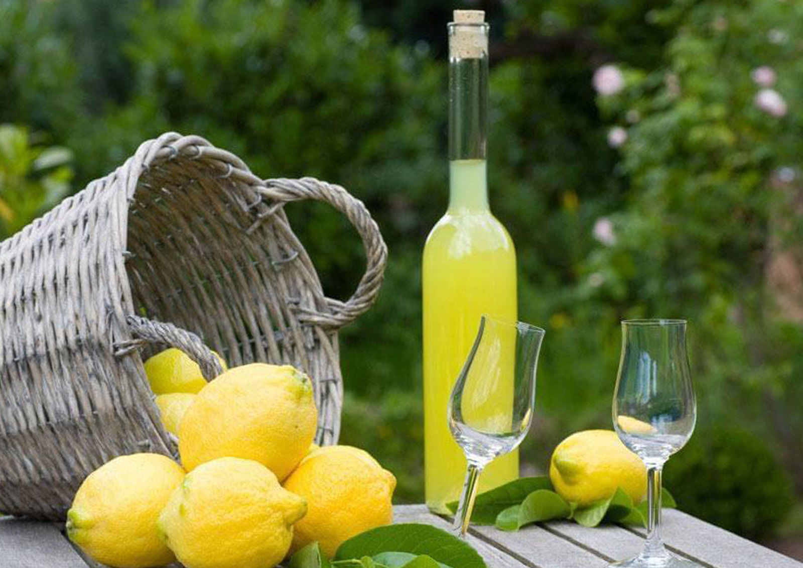 Limoncello MISTER ® MEISTER