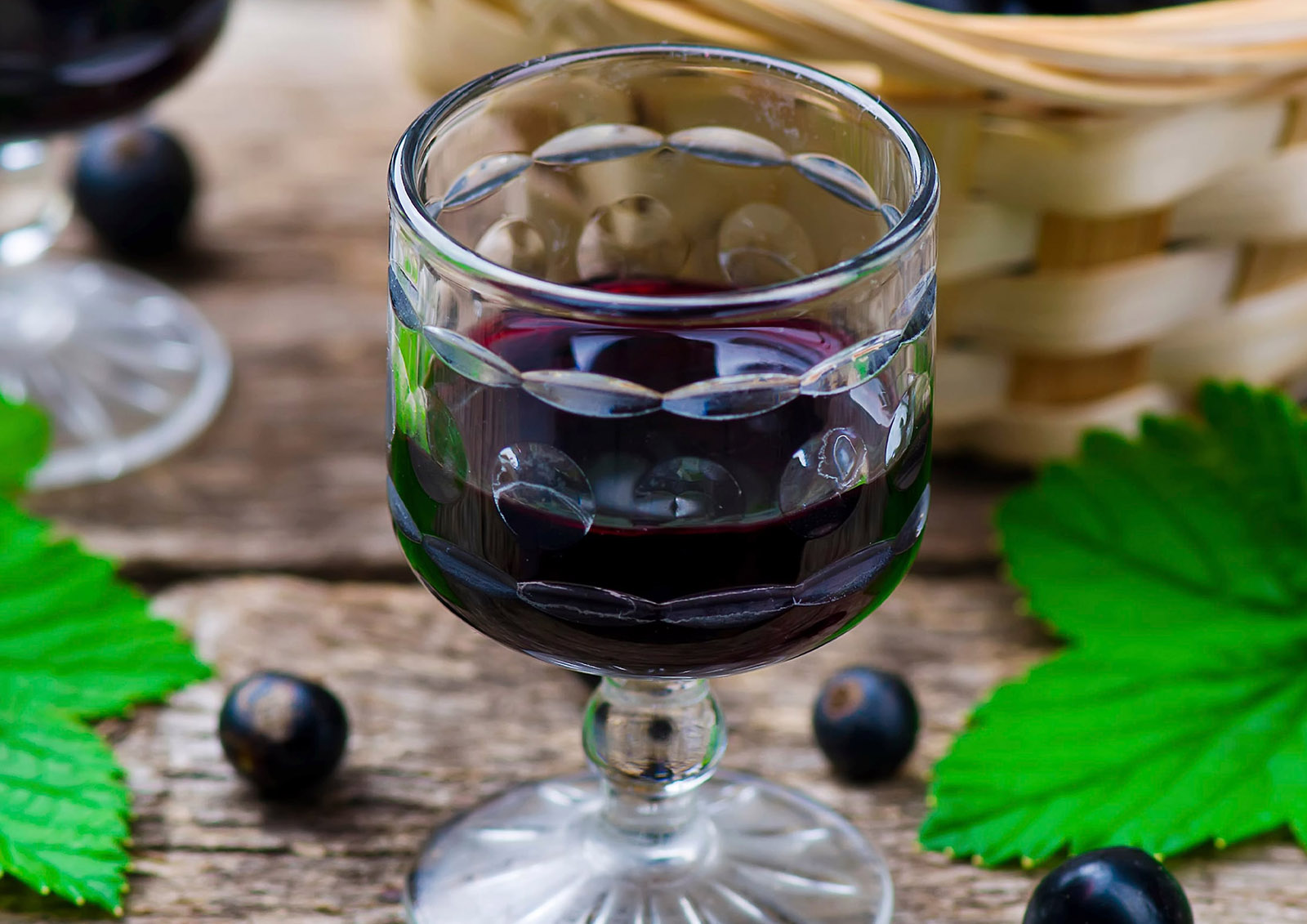 Cassis MISTER ® MEISTER