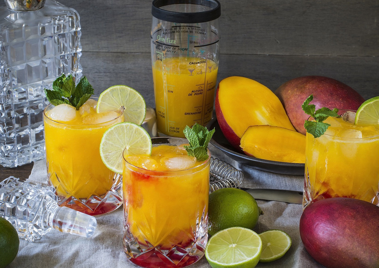 Purée de Fruits pour Cocktail MISTER ® MEISTER