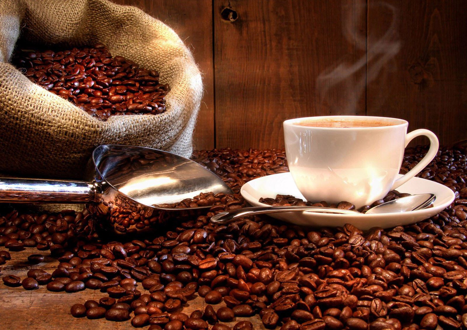 Infusiones MISTER ® MEISTER
