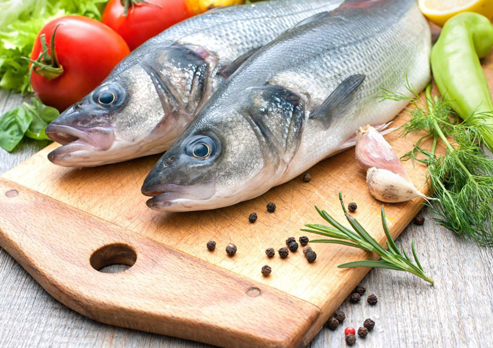 Fisch MISTER ® MEISTER