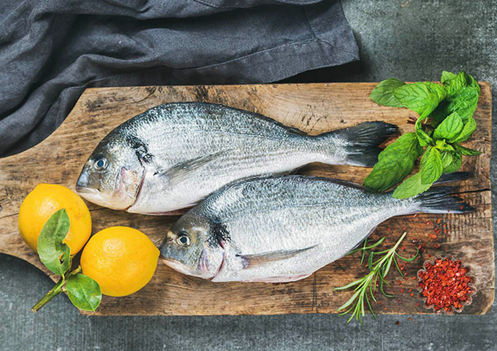 Peixe MISTER ® MEISTER