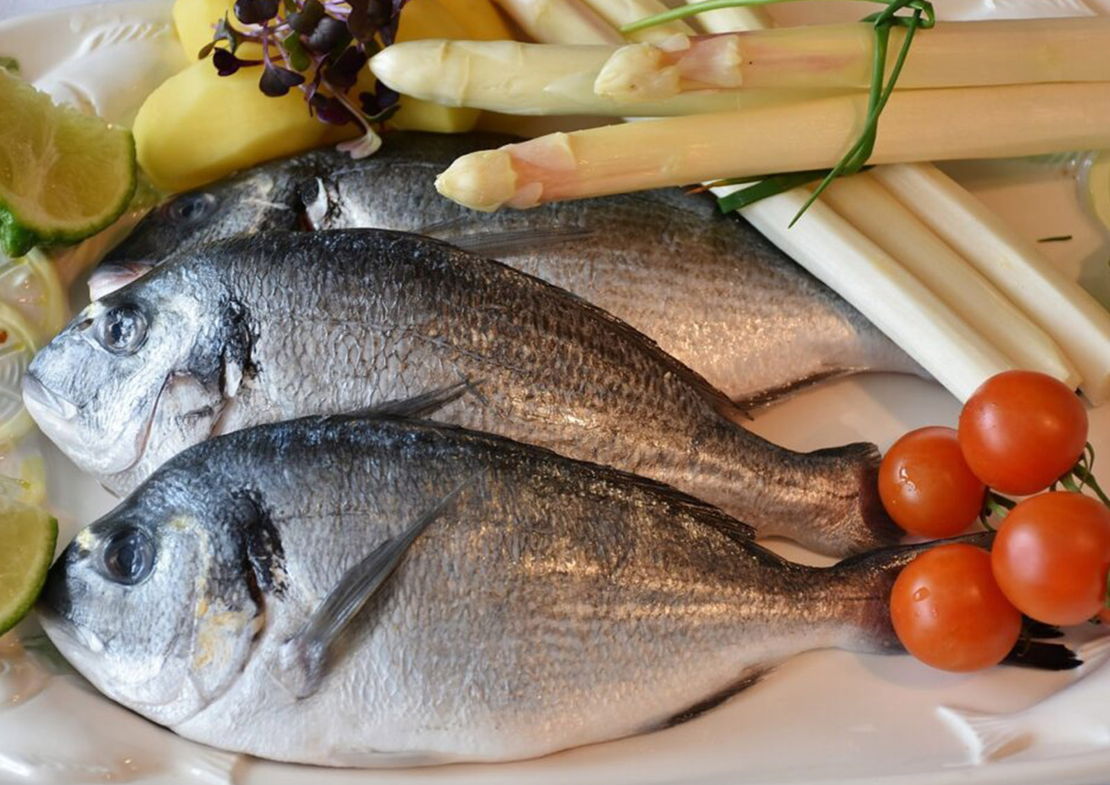 Fisch MISTER ® MEISTER
