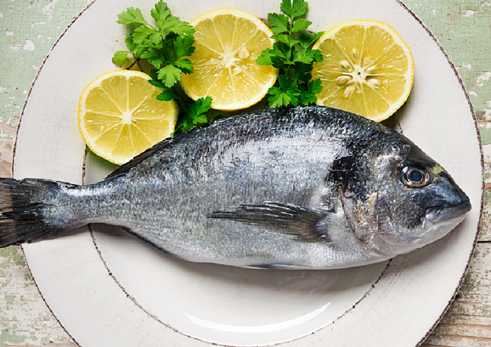 Poisson MISTER ® MEISTER