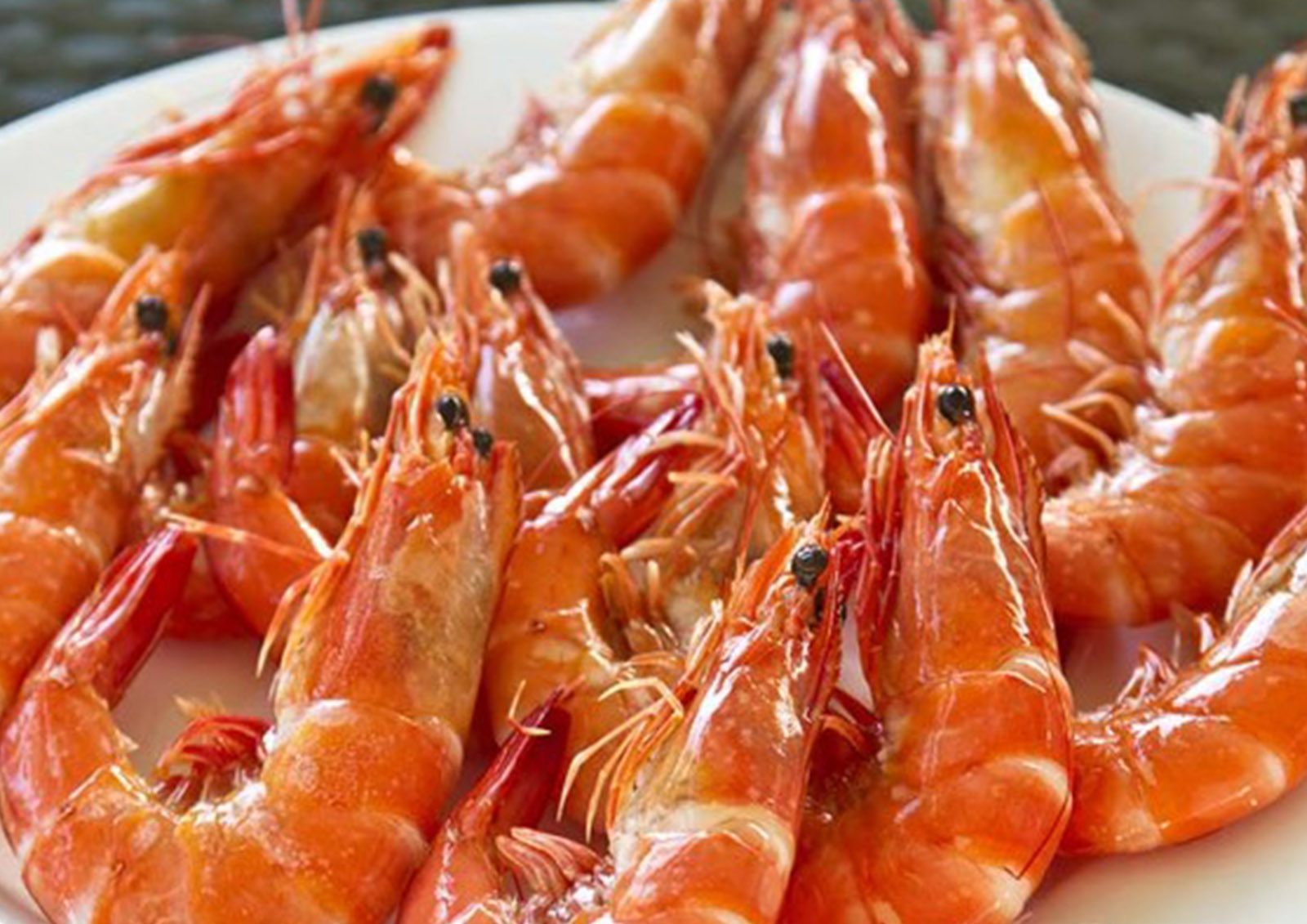 Shellfish MISTER ® MEISTER