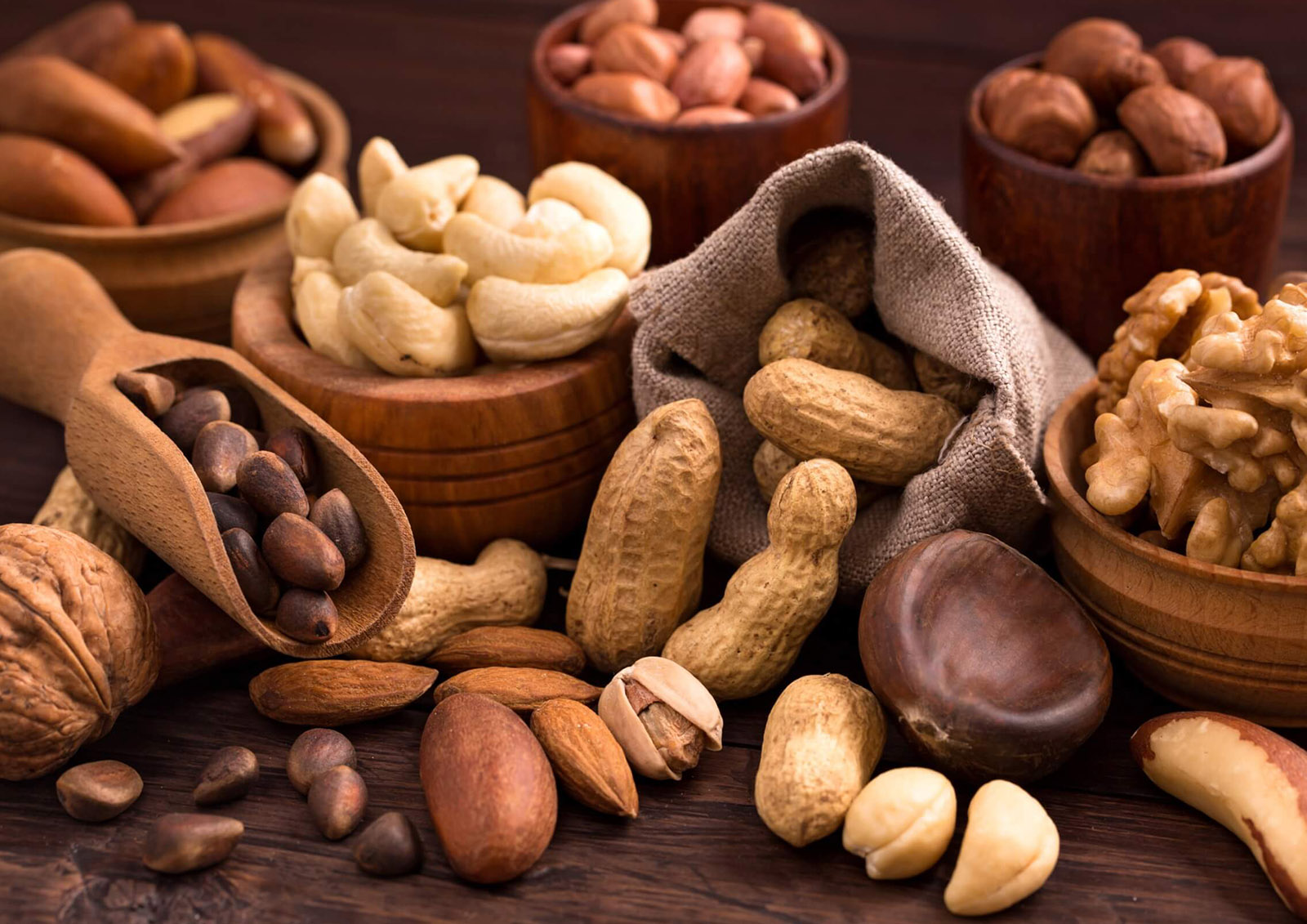 Frutos Secos MISTER ® MEISTER