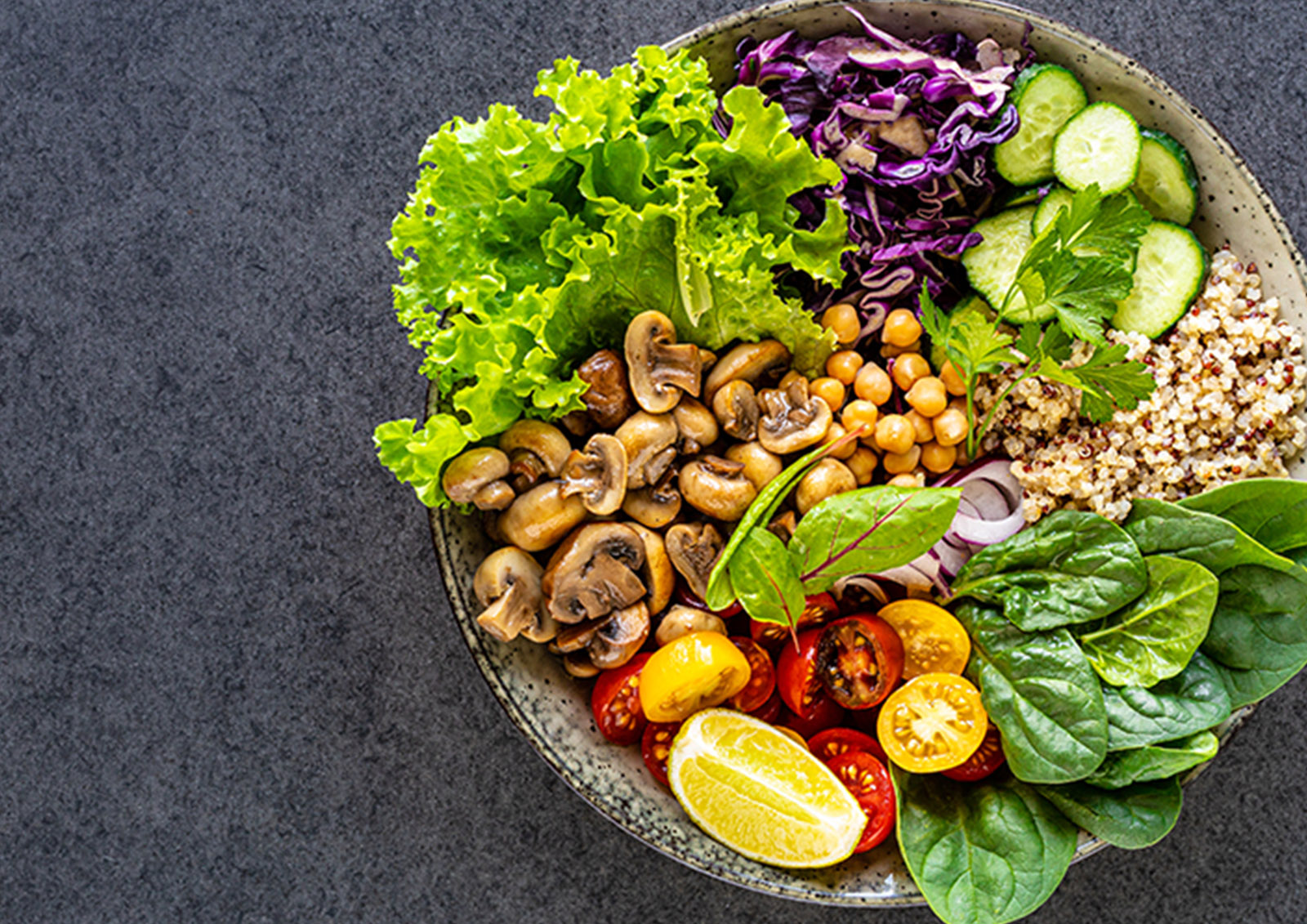 Vegetarische Lebensmittel MISTER ® MEISTER