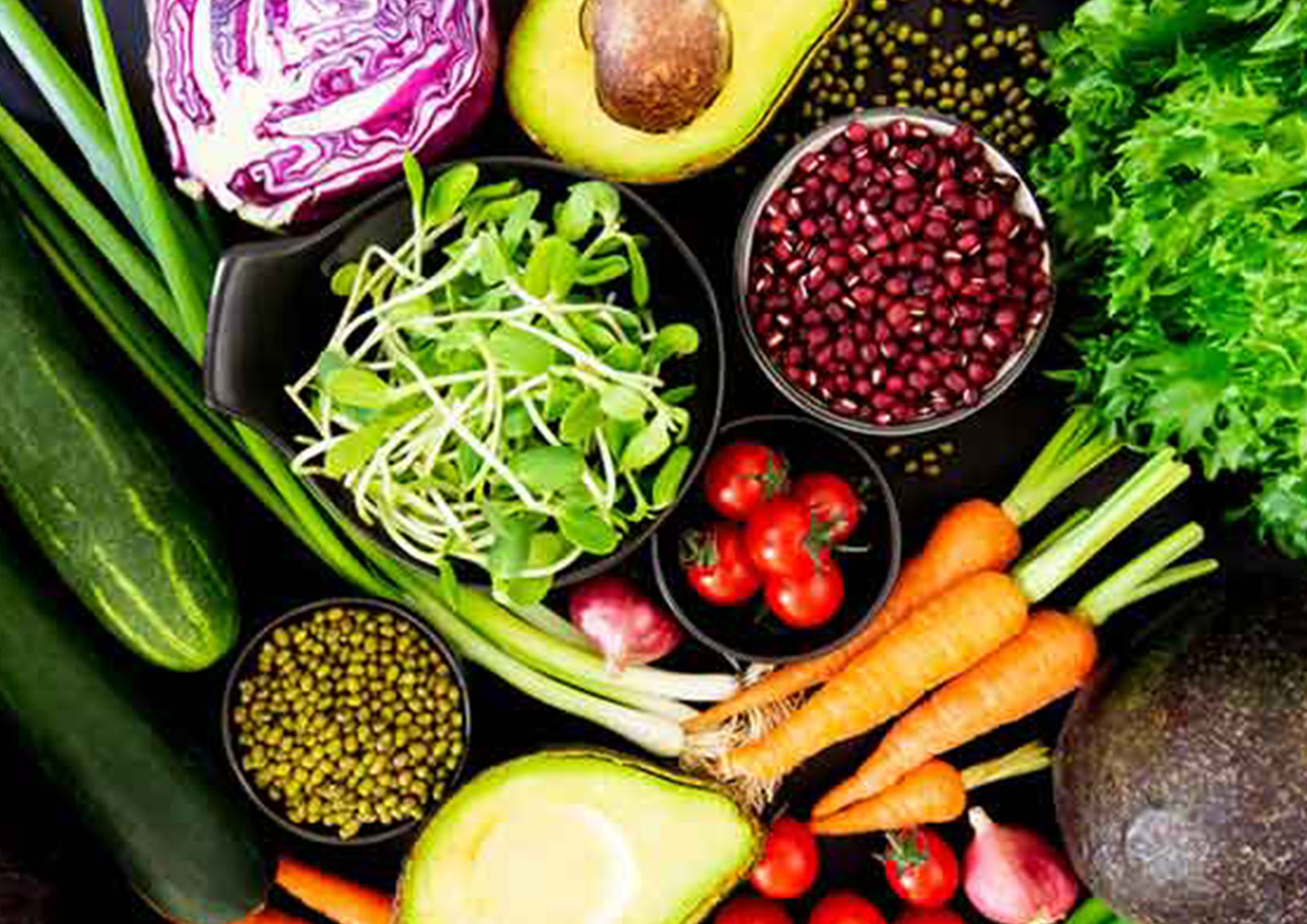 Aliments Végétariens MISTER ® MEISTER