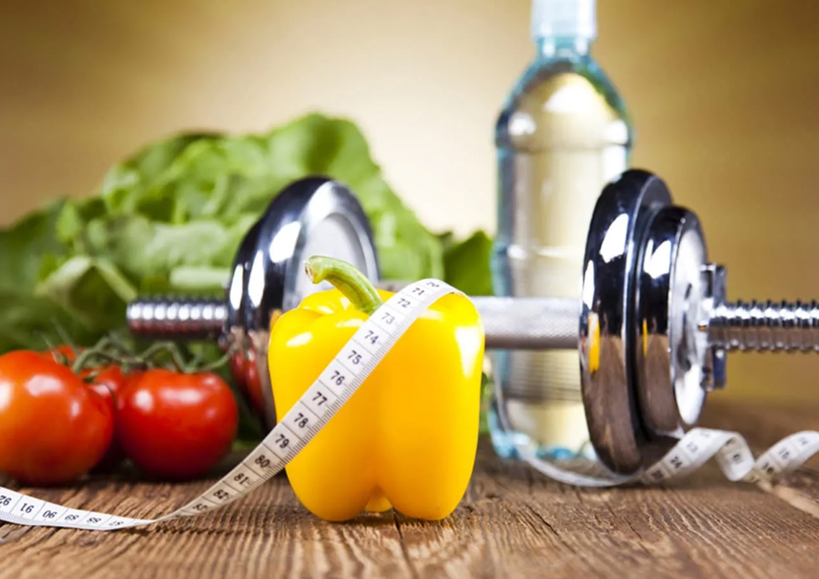 Vegano y Plant-Based MISTER ® MEISTER
