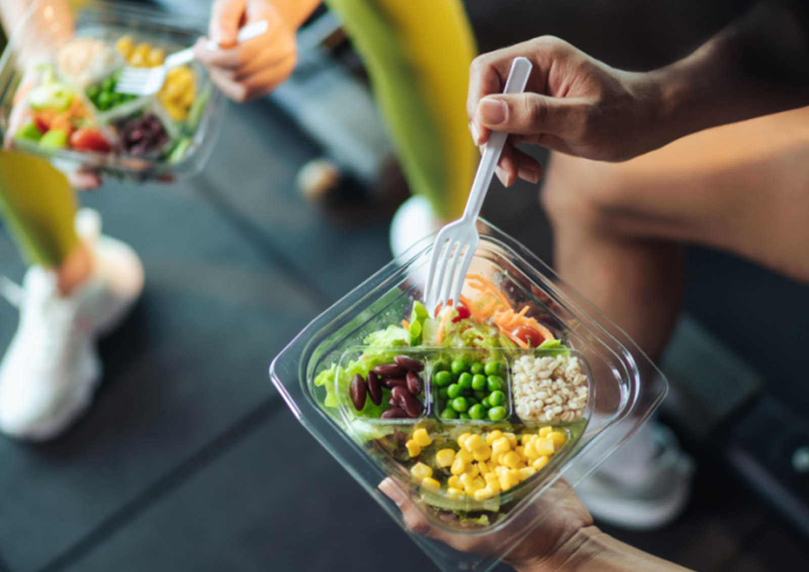 Vegan et à Base de Plantes MISTER ® MEISTER