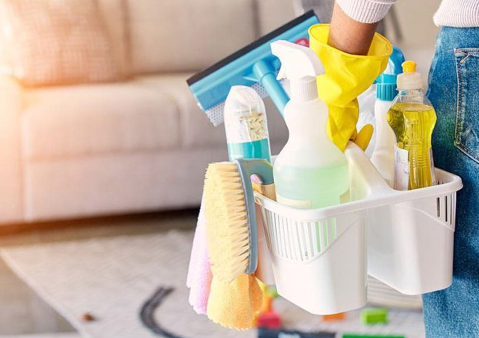 Accessoires de Nettoyage MISTER ® MEISTER
