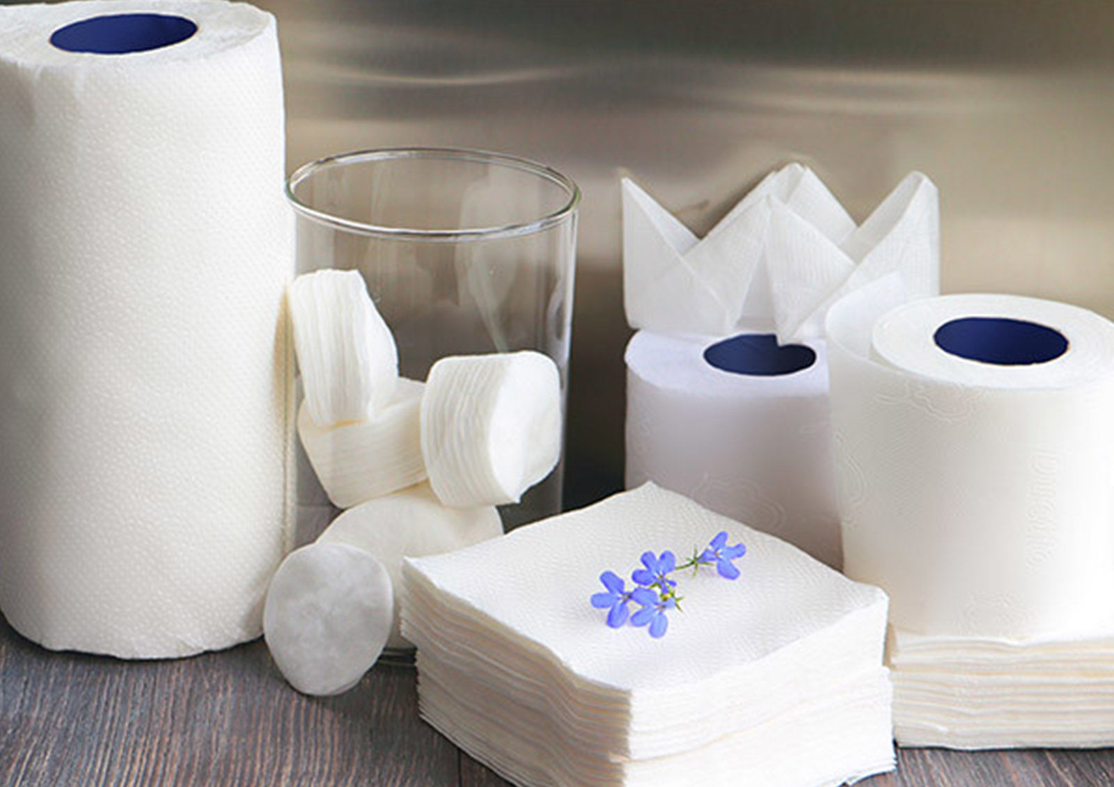 Papier und Zellstoff MISTER ® MEISTER