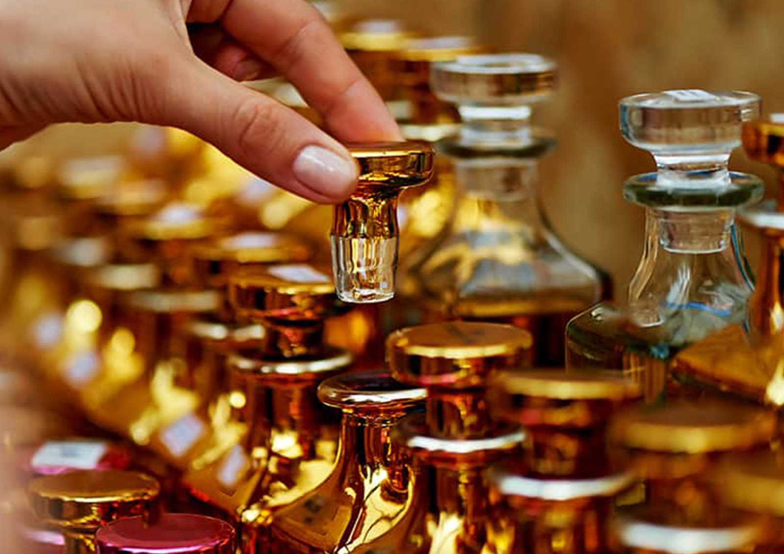 Perfumes e Colónias MISTER ® MEISTER