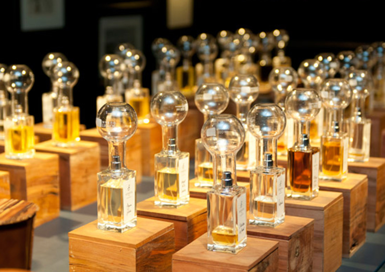 Perfumes e Colónias MISTER ® MEISTER